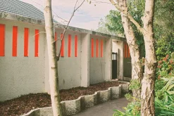 Nikon FG-20 35mm SLR Film Camera With Nikon E-Series 50mm F1.8