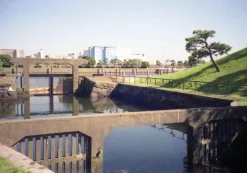 Nikon TW Zoom 35-70 35mm Film Camera Point and Shoot