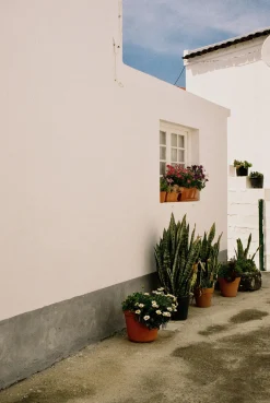 Nikon-AF240SV 35mm Point n Shoot Film Camera