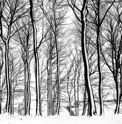 Nikon-AF240SV 35mm Point n Shoot Film Camera