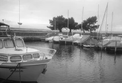 Olympus AF-1 35mm Film Camera Point and Shoot