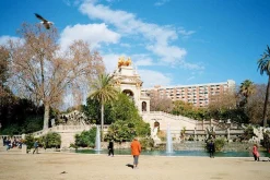 Olympus AM 100 35mm Film Camera Point and Shoot