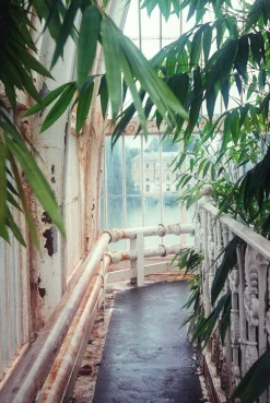 Olympus Mju (Stylus) Zoom 35-70mm Film Camera Point and Shoot