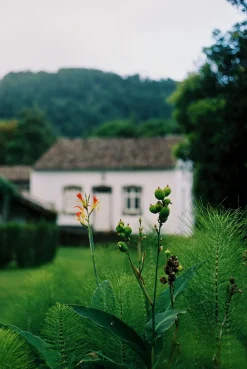 Olympus MJU Zoom 115 Deluxe 35mm Point and Shoot Film Camera.