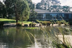 Olympus Mju Zoom 105 35mm Film Camera Point and Shoot