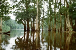 Olympus 35mm f/3.5 Camera Lens