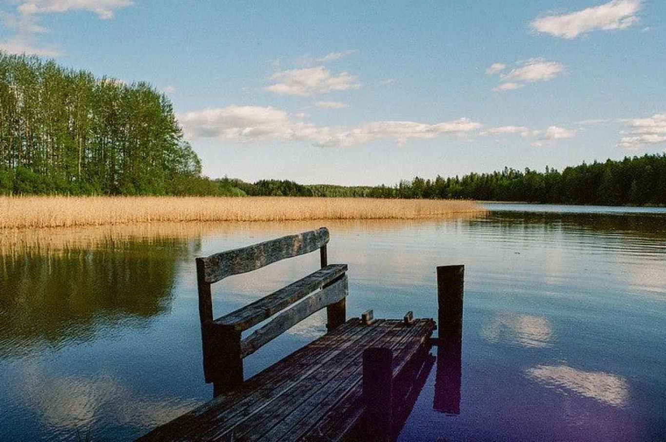 Olympus OM 1 Black Vintage 35mm SLR Film Camera with f/1.8 50mm Prime Lens