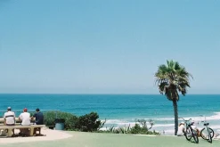 Olympus OM 1 Black Vintage 35mm SLR Film Camera with f/1.8 50mm Prime Lens