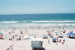 Olympus OM 1 Black Vintage 35mm SLR Film Camera with f/1.8 50mm Prime Lens