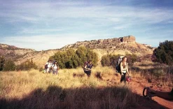 Olympus Superzoom 115 35mm Film Camera Point and Shoot