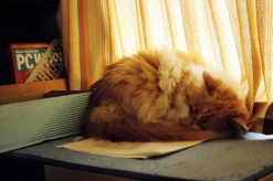 Olympus Superzoom 105G 35mm Film Camera Point and Shoot