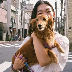 Olympus Trip 35 Black Crocodile Leather Point and Shoot 35mm Film Camera