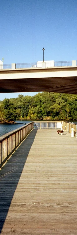 Olympus Trip Panorama 35mm Film Camera Point and Shoot