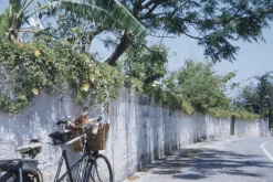 Panorama 35mm Film Camera and 1 x Roll of 35mm Film