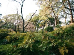 Pentax 645 With 55mm F2.8 Lens. 6X4.5 Medium Format Film Camera.