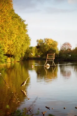 Pentax Espio 120 35mm Film Camera Point and Shoot