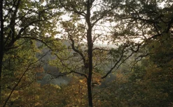 Pentax ESPIO 738 SILVER 35mm Film Camera Point and Shoot