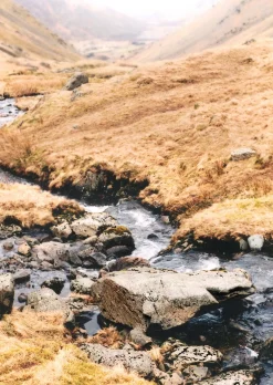 Pentax ESPIO 738S SILVER 35mm Film Camera Point and Shoot