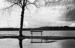 Pentax K1000 Navy Leather Vintage SLR 35mm Film Camera with Pentax f/2 50mm Prime Lens.