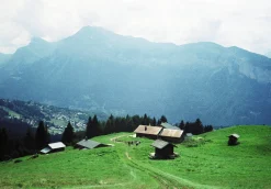 Pentax K1000 Pink Leather Vintage SLR 35mm Film Camera with Pentax f/2 50mm Prime Lens.