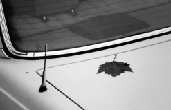 Pentax K1000 Pink Leather Vintage SLR 35mm Film Camera with Pentax f/2 50mm Prime Lens.