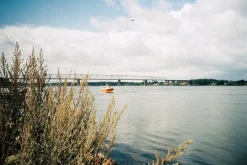 Pentax K1000 Red Leather Vintage SLR 35mm Film Camera with Pentax f/2 50mm Prime Lens.