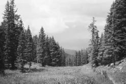 Pentax K1000 White Leather Vintage SLR 35mm Film Camera with Pentax f/2 50mm Prime Lens