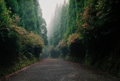 Pentax K1000 White Leather Vintage SLR 35mm Film Camera with Pentax f/2 50mm Prime Lens