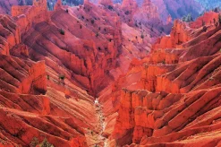 Pentax SMC 55mm f/1.2 Prime Camera Lens