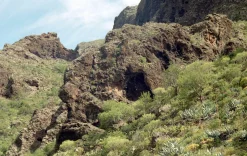 Petri - 7S. 35mm Rangefinder With 45mm F2.8 Lens