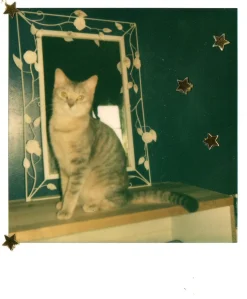 Polaroid ONE 600 Instant Film Camera