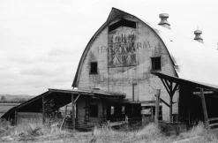 Praktica GP100 35mm Point n Shoot Film Camera.