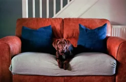 Ricoh FF 70 35mm Film Camera Point and Shoot