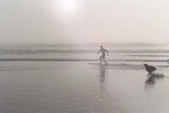 Ricoh XR Rikenon 50mm f/2 Camera Lens