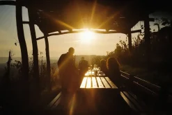 Rollei Prego 70 35mm Film Camera Point and Shoot