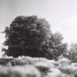 Rollieflex Old Standard 621 With 75mm F3.8 Lens. TLR 6X6 Medium Format Film Camera.