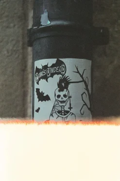 Samsung FINO 140 Super 35mm Film Camera Point and Shoot