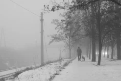 Sunactinon 28mm f/2.8 Camera Lens