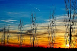 Takumar SMC 55mm f/1.8 Prime Camera Lens