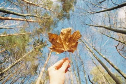 Tokina 35mm f/4 Camera Lens