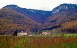 Vintage 35mm SLR Film Camera Praktica PL Nova 1 with Carl Zesis f/2.8 50mm Lens