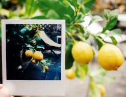 Vintage Polaroid Instant Film Land Camera 1000