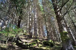 Vivitar 28mm f/3.5 Camera Lens