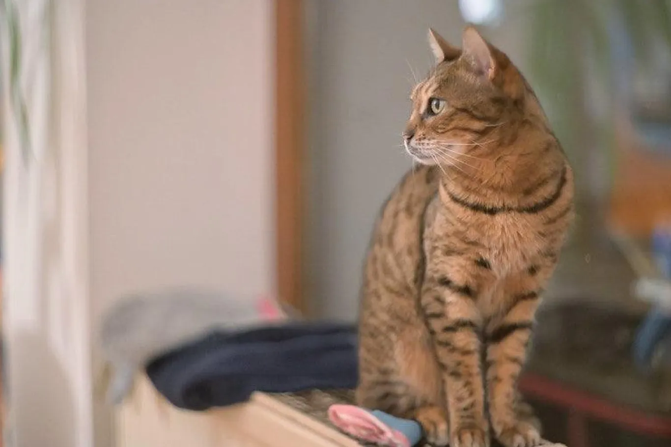 Zenit E Vintage Metal 35mm SLR Film Camera