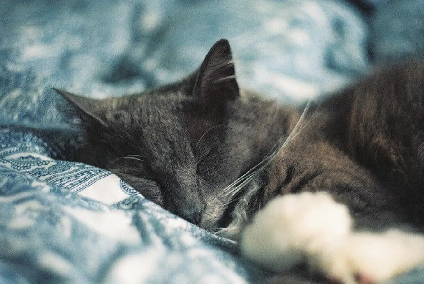 Zenit E Vintage Metal 35mm SLR Film Camera