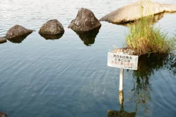 Zenit-122 50th Anniversary KMZ Special Edition 35mm Film Camera With 58mm Helios F1.8 Lens.