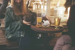 Zenit TTL Black 35mm SLR Film Camera